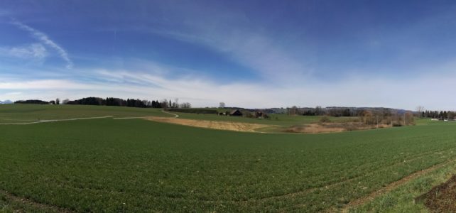 Öggenringen Reckenbrunnen