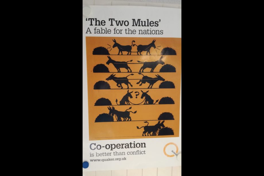 The two mules