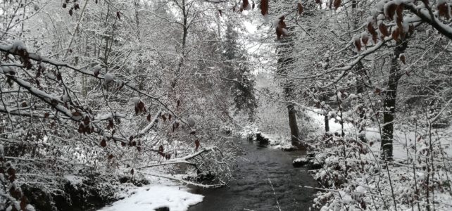 Mystical Winter