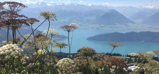 Rigi Trip Zeit