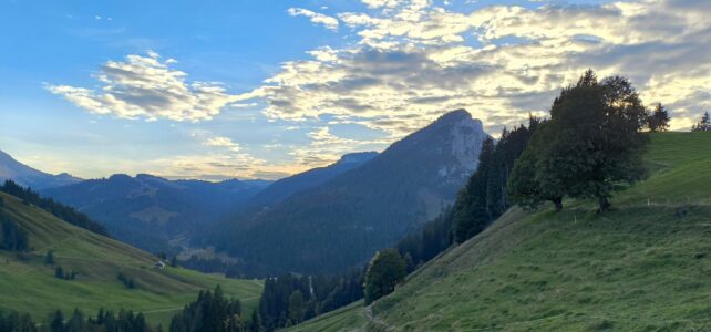 Exkursion: Hirschbrunft mit dem JST Exkursion: Hirschbrunft mit dem JST
