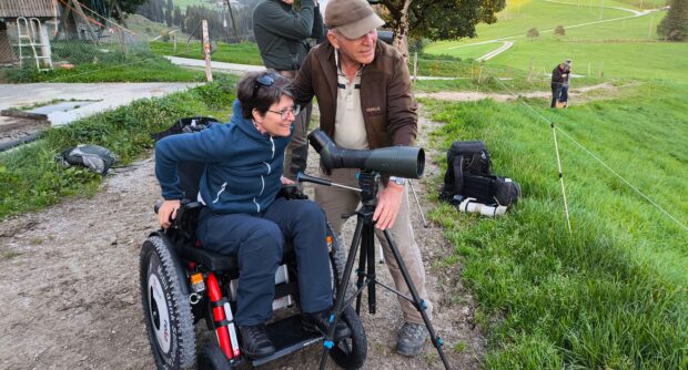 Hirschbrunftexkursion