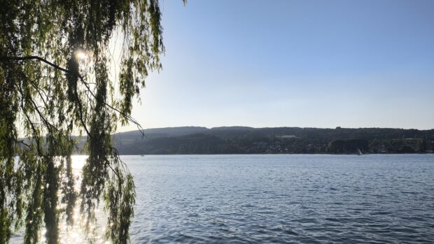 Paradies Weinfelden